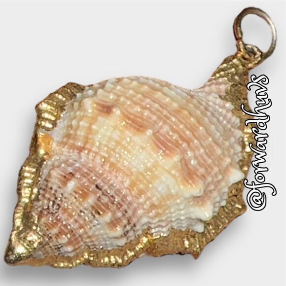 Mini Conch Seashell Pendant with Gold Dip Trim - Picture 4 of 7